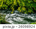 鶴仙渓のせせらぎ 26098924