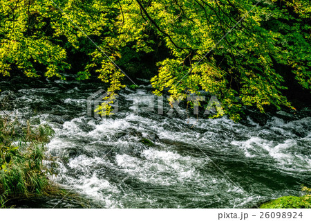 鶴仙渓のせせらぎ 26098924