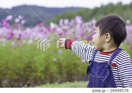 自然の中ではしゃぐ男の子 26099576