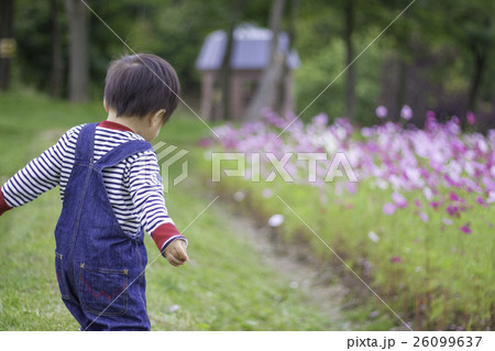 自然の中ではしゃぐ男の子 自然の中ではしゃぐ男の子 26099637