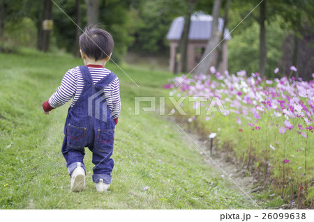 自然の中ではしゃぐ男の子 26099638