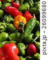 沢山のパプリカとピーマン 26099680