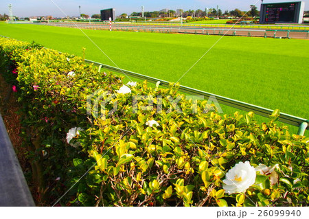 中山競馬場 中山競馬場 26099940