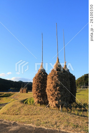 茨城　大子　わらぼっち 26100350