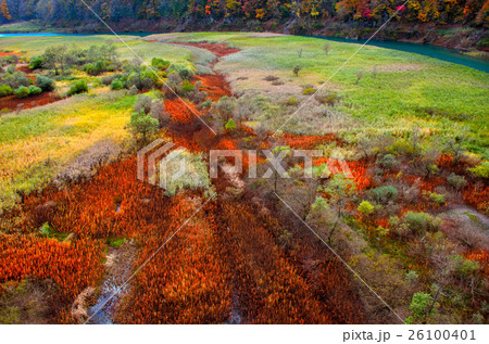 玉川の紅葉 玉川の紅葉 26100401