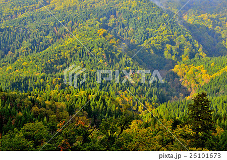 宝仙湖の紅葉 宝仙湖の紅葉 26101673