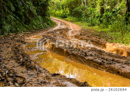 Impassable forest road of mud and clay, offroad Impassable forest road of mud and clay, offroad 26102694