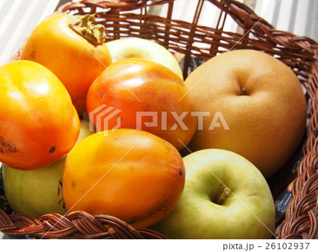 秋の実り 26102937