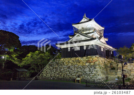 浜松城 ライトアップ -徳川家康が築いた出世城- 26103487