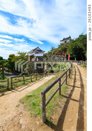 浜松城 -徳川家康が築いた出世城- 26103493