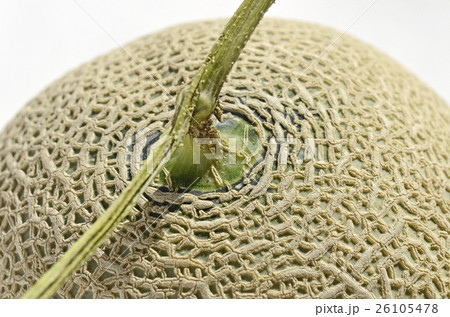 アールスメロン（マスクメロン） 26105478