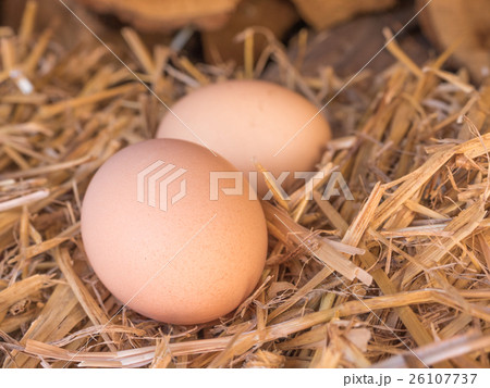 Close-up brown chicken eggs on a bed of straw Close-up brown chicken eggs on a bed of straw 26107737