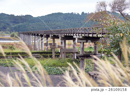 【ギネス認定・世界一の木造歩道橋】蓬莱橋 26109158