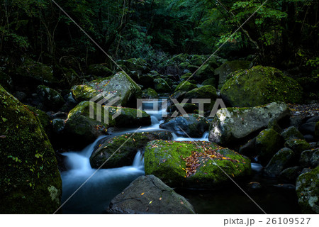 熊本　マゼノ渓谷 26109527