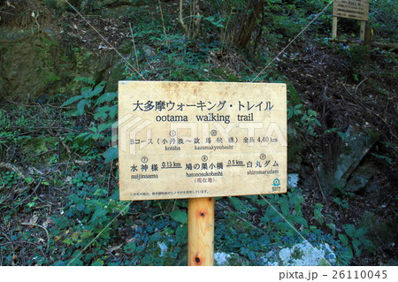 案内板 案内板 26110045