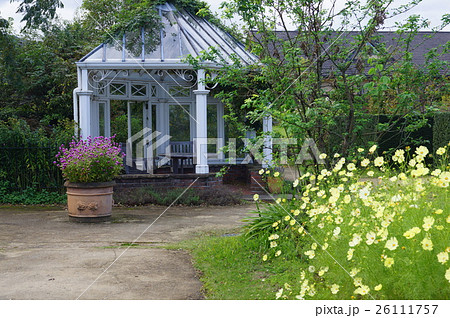 松阪ベルファームのコスモス 26111757