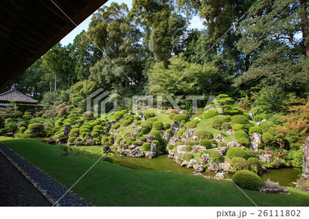 龍潭寺（りょうたんじ）庭園 -井伊直虎・直政ゆかりの寺- 26111802