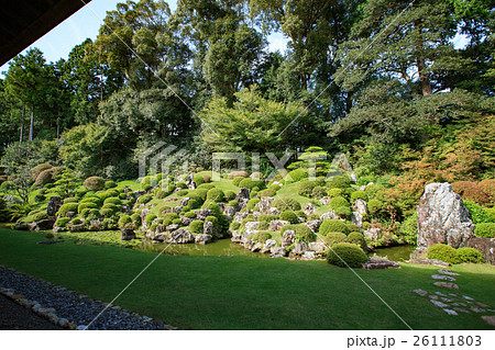 龍潭寺(りょうたんじ)庭園 -井伊直虎・直政ゆかりの寺- 龍潭寺(りょうたんじ)庭園 -井伊直虎・直政ゆかりの寺- 26111803