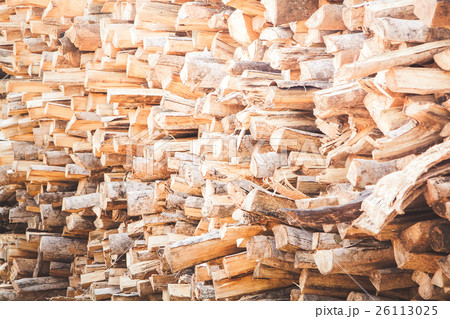 Vintage of wood background. Vintage of wood background. 26113025