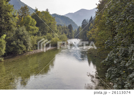 Sava Bohinjka river with clean water in Slovenia Sava Bohinjka river with clean water in Slovenia 26113074