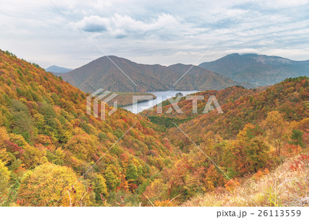 裏磐梯秋元湖の秋景色 裏磐梯秋元湖の秋景色 26113559