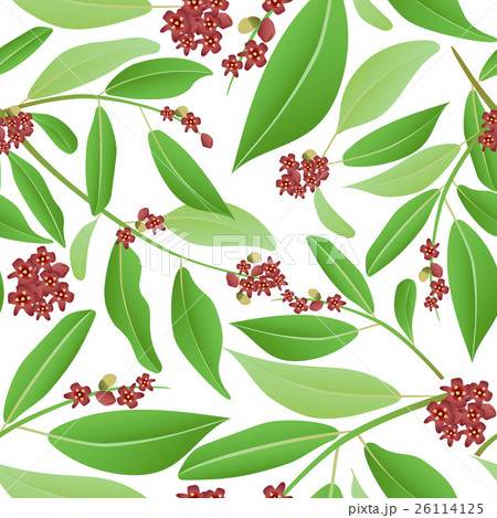 seamless pattern sandalwood seamless pattern sandalwood 26114125