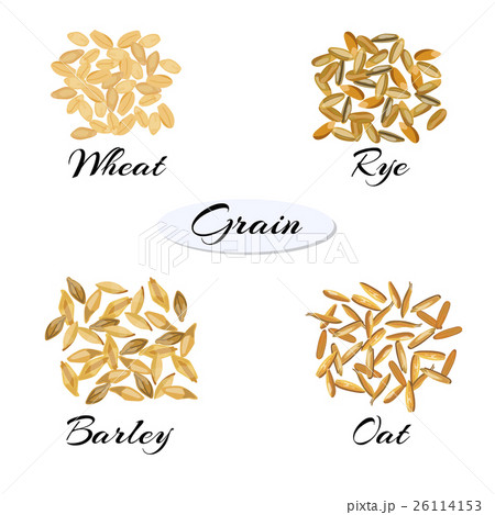 Different types of grain. 26114153