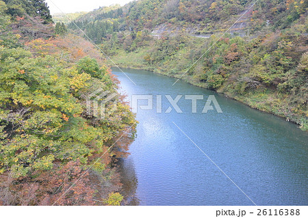 白鷹付近の最上川 26116388
