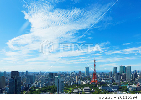 東京タワーと都市風景 東京タワーと都市風景 26116594