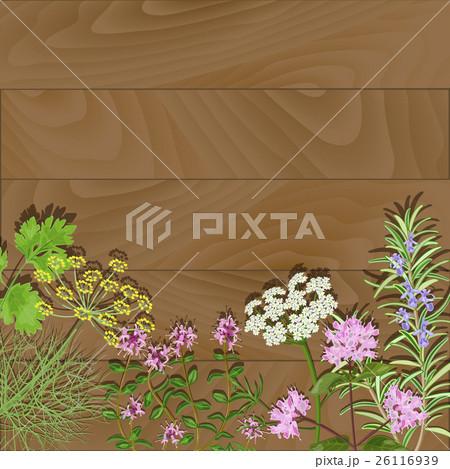 Flowering herbs on wooden background. Flowering herbs on wooden background. 26116939