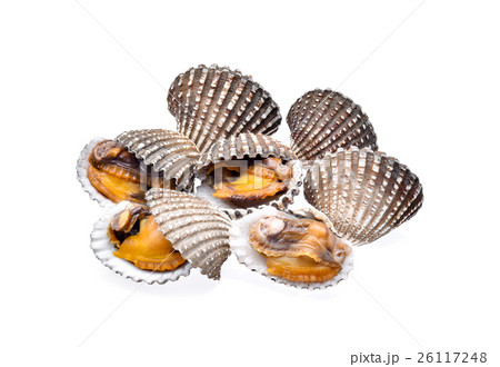 cockles seafood isolated on white background 26117248
