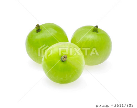 Indian gooseberry or Amla (Phyllanthus emblica) Indian gooseberry or Amla (Phyllanthus emblica) 26117305