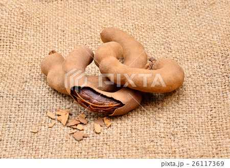 Tamarind on brown fabric Tamarind on brown fabric 26117369