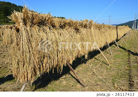 稲掛（埼玉県秩父市） 26117413