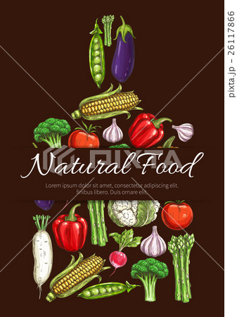 Vegetables vegetarian food vector symbol Vegetables vegetarian food vector symbol 26117866