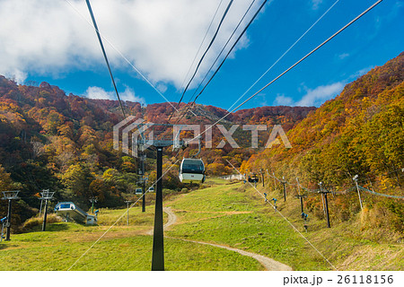 長野　白馬五竜の紅葉とゴンドラリフト 26118156