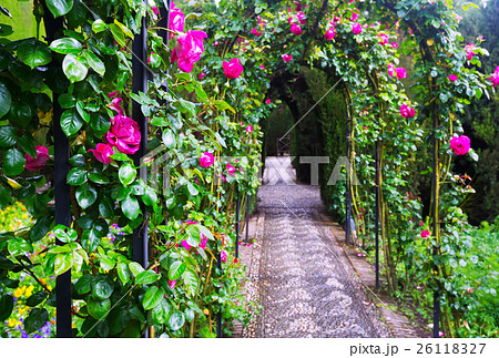 French formal garden at Generalife. Granada 26118327