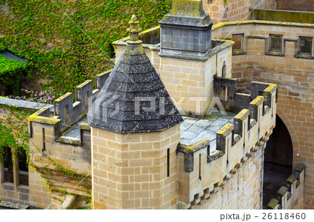 Tower of Palacio Real de Olite 26118460