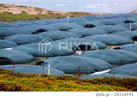 Sea farm 26118541