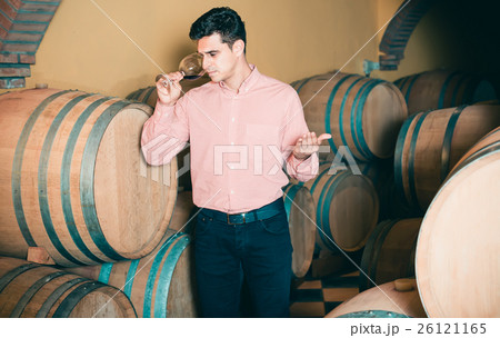 satisfied man posing in winery cellar satisfied man posing in winery cellar 26121165