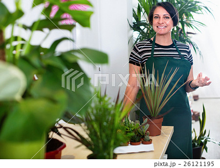Glad woman florist smiling among the potted plants Glad woman florist smiling among the potted plants 26121195