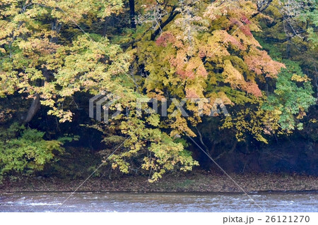 吹割の滝 吹割の滝 26121270