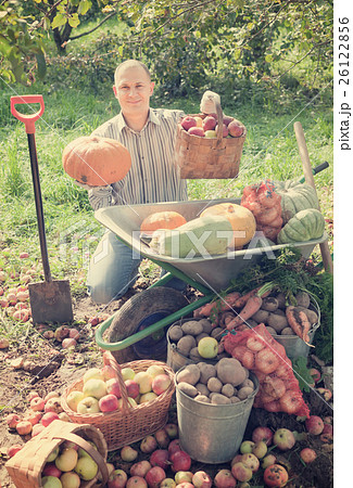 man with vegetables harvest in garden man with vegetables harvest in garden 26122856