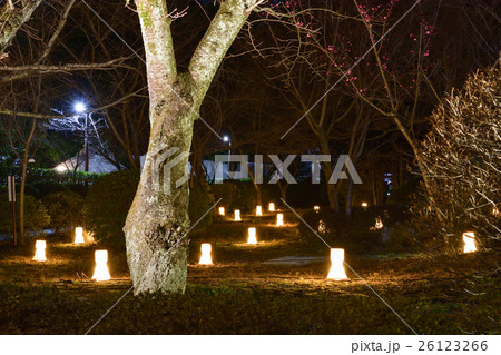 東山花灯路　霊山興正寺別院　京銘竹露地行灯 26123266