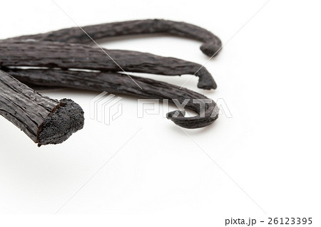 バニラビーンズ: Vanilla beans (vanilla pods) 26123395