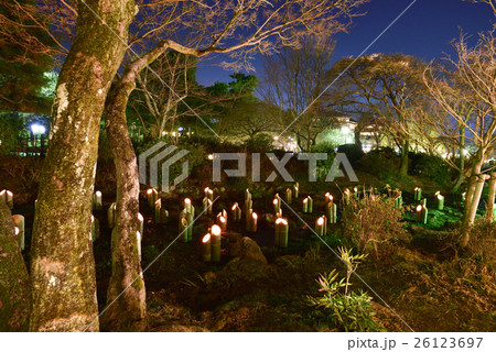 東山花灯路 円山公園 幽玄の川 東山花灯路 円山公園 幽玄の川 26123697