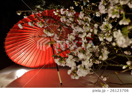 京都　東山花灯路 26123706