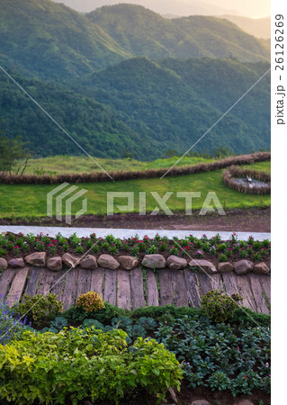 Garden on hill with beautiful mountain view 26126269