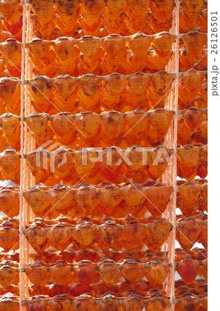 串柿の里　和歌山県かつらぎ町 26126501