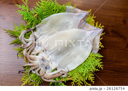 いか開き 26126754